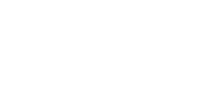 Optima logo composition